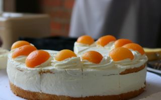 Hausgemachte Käsesahne-Torte mit Aprikosen.