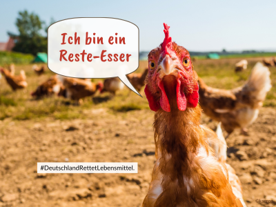 Huhn blickt in die Kamera, im Hintergrund weitere Hühner zu sehen. In einer Sprechblase steht: "Ich bin ein Reste-Esser", darunter #DeutschlandRettetLebensmittel